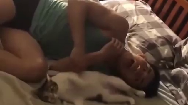 выходные, расслабься! смотреть онлайн