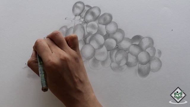 How to Sketch a Grapes смотреть онлайн