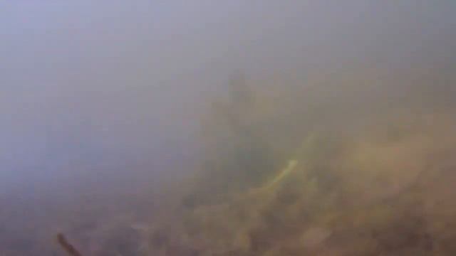 Видео съёмка подводного пейзажа в мутной воде! смотреть онлайн