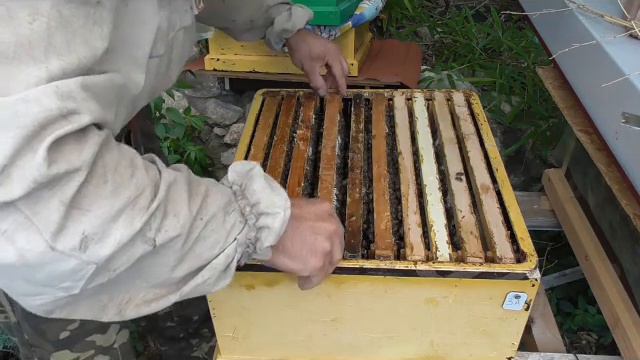 Подготовка семей к зиме. Распределение расплода. Часть 2 (продолжение). смотреть онлайн