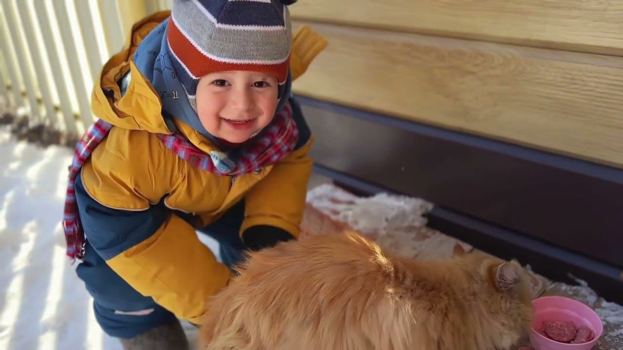 Готовлю // Веган медовик //Время с сыночком// Зима 2024 смотреть онлайн