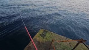 ?ВЕЧЕРНИЙ Зубарь на Поплавок. РАЗДАЧА. Морская Рыбалка в Крыму.