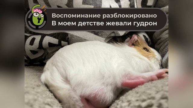 В моем детстве жевали гудрон | Подкаст "Воспоминание разблокировано" s01e01 (18+) смотреть онлайн
