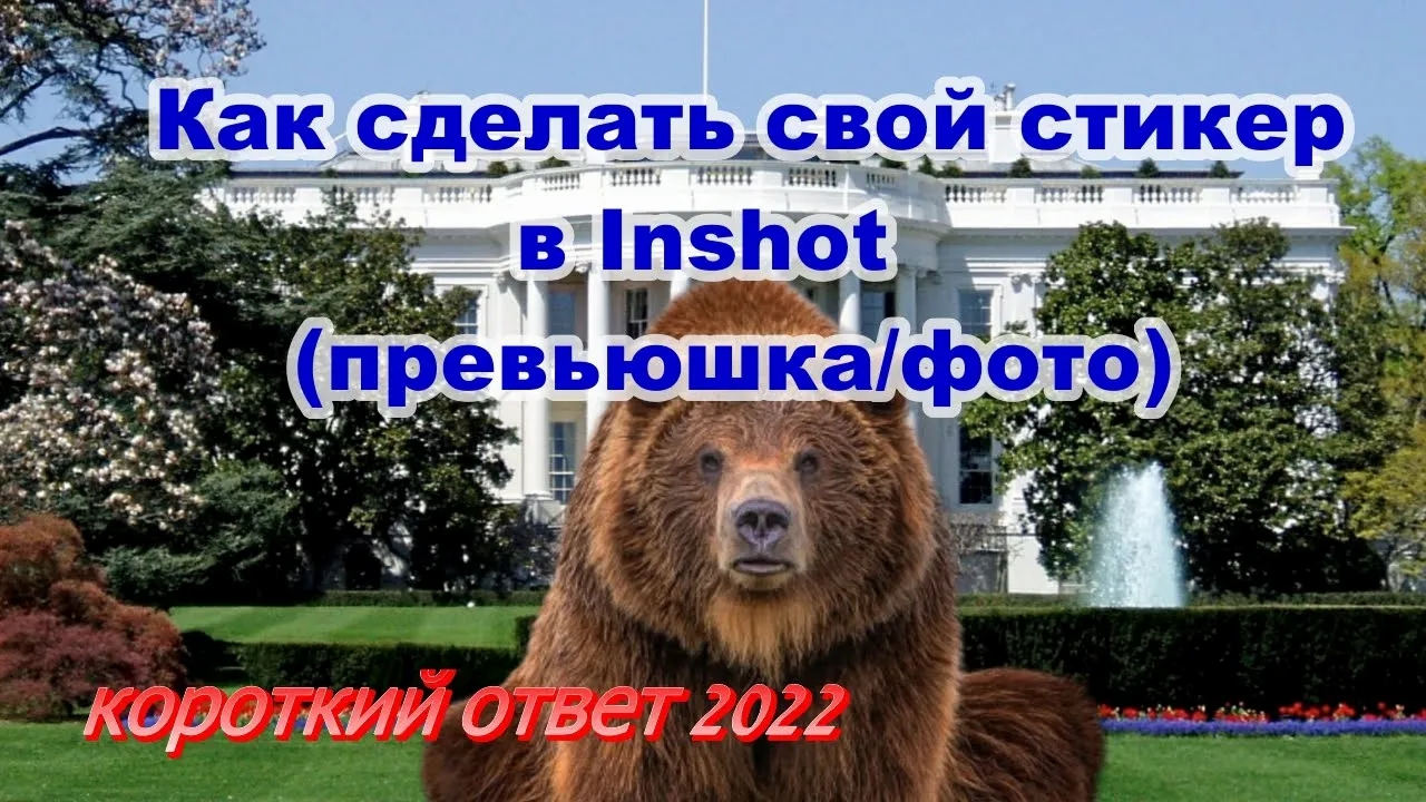 Как сделать свой стикер в Inshot (фото без фона, превьюшки и видео с вашим фото) смотреть онлайн