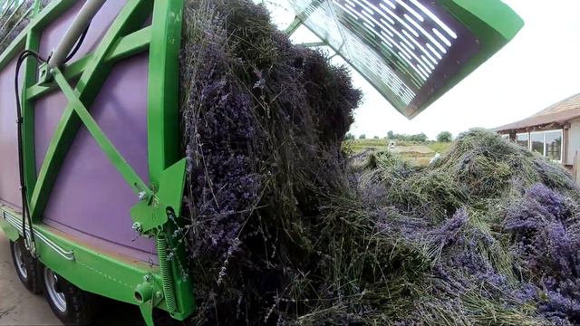 BEST LAVENDER HARVESTER смотреть онлайн