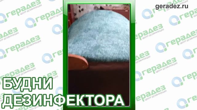 Где прячутся клопы после дезинсекции [БУДНИ ДЕЗИНФЕКТОРА #3] смотреть онлайн