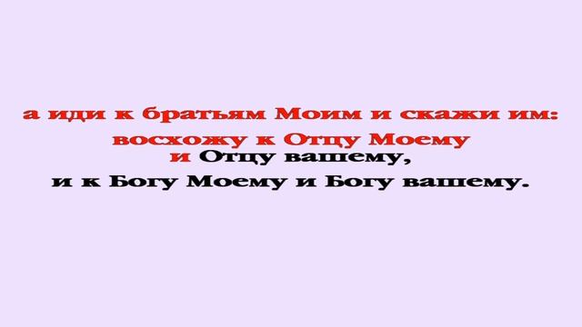 Видеобиблия. Евангелие от Иоанна. Глава 20 смотреть онлайн