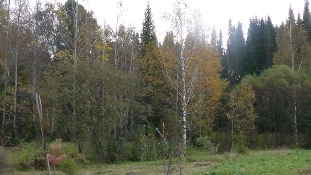 вот моя деревня вот мой дом родной смотреть онлайн