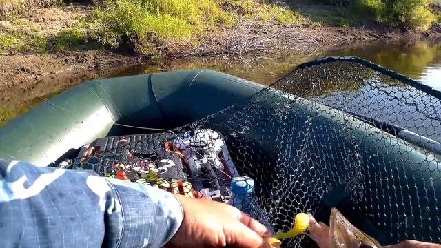 Река Тобол, ловля щуки и судака на джиг, в начале августа смотреть онлайн