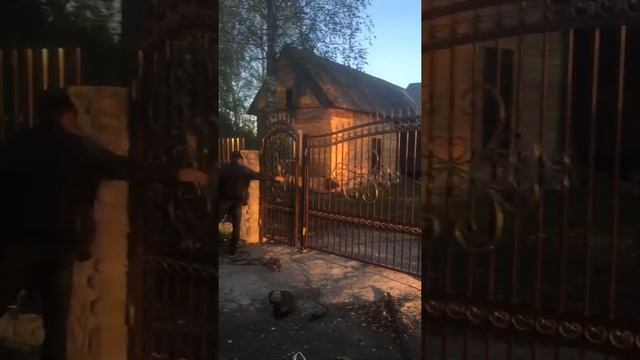 Ворота и калитка с элементами ковки смотреть онлайн