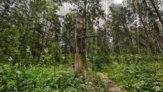 Бердские скалы, Новососедово Искитимский район, 2021 смотреть онлайн