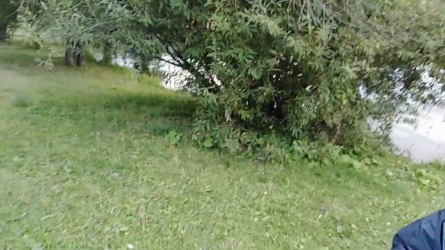 Терлецкие пруды Москва Прогулка с внуком смотреть онлайн