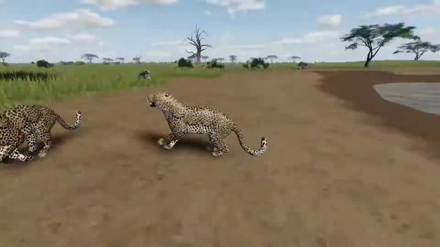 Three Leopards Fight! +ART CONTEST (Wild Savannah Roblox) смотреть онлайн