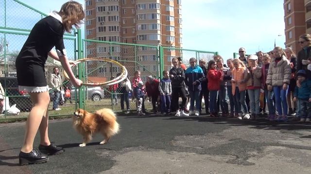 Праздник двора Советская 8 смотреть онлайн