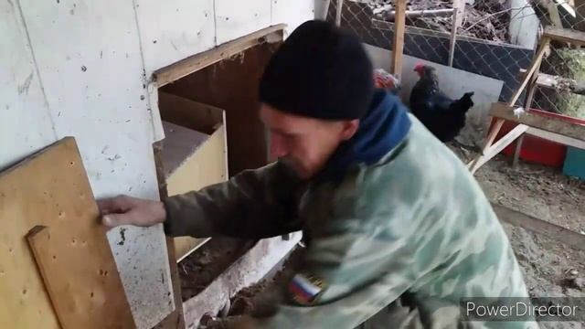Правильные Гнёзда для Кур, Залог Отличной Яйценоскости /Сколько Гнёзд Нужно для Кур/Удобный Курятни смотреть онлайн
