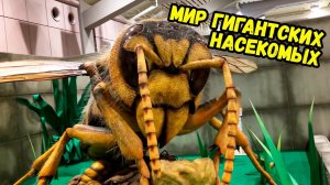 28 ВЕЩЕЙ, КОТОРЫЕ ВЫ УВИДИТЕ ВПЕРВЫЕ.mp4