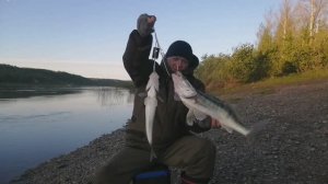 ПЕРВЫЕ СУДАКИ, ОТКРЫЛСЯ ВЕСНА!!