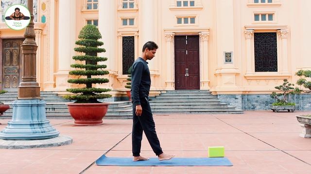 Hatha Yoga Full Body Stretch | 20 Min Practice