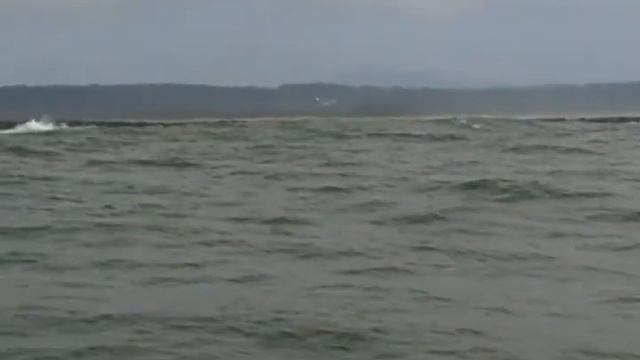 Pacific Ocean, swell. Тихий океан, волны (100sp) смотреть онлайн