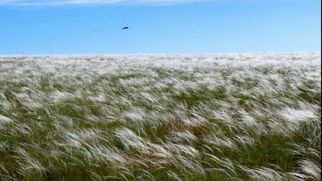 Калины куст.. смотреть онлайн