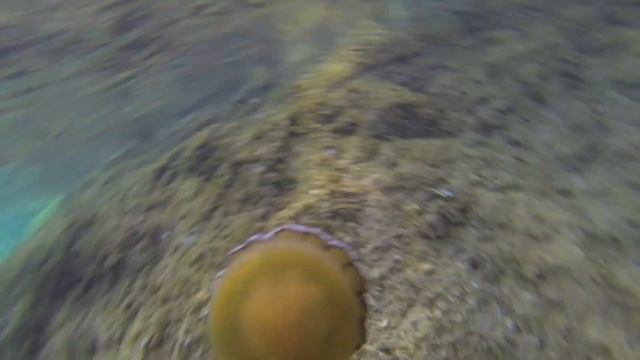 Каяк смотреть онлайн