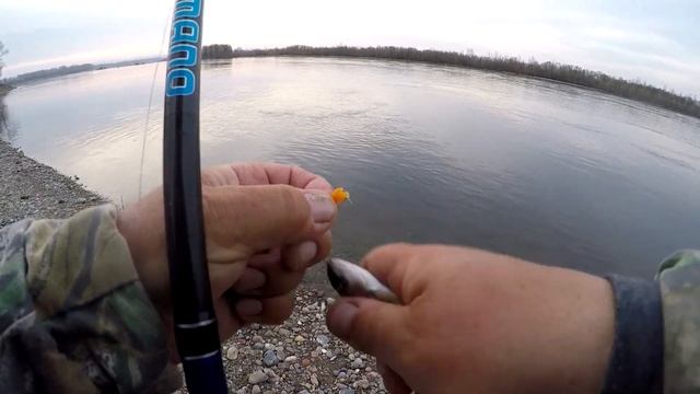 Рыбалка с берега на Енисее. смотреть онлайн