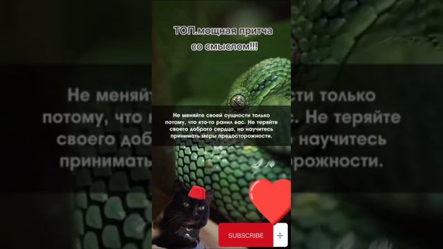 Интересная причта о старце и змее смотреть онлайн