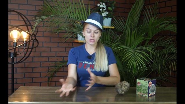 Как ухаживать за Иерихонской розой ✿ Селагинелла домашняя смотреть онлайн