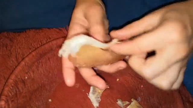 Краткий обзор красного помелло смотреть онлайн