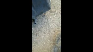 Снятие автономки МАН ТГА D4S