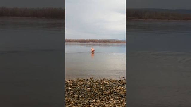 Купаться в Волге в апреле... смотреть онлайн