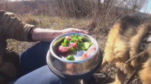 Рыбалка на закидушки. День рождения Ларри пса