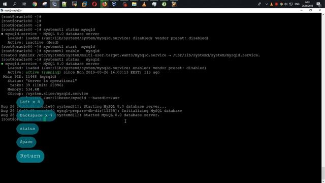 Установка MySQL 8.0 в Oracle Linux 8.0 смотреть онлайн