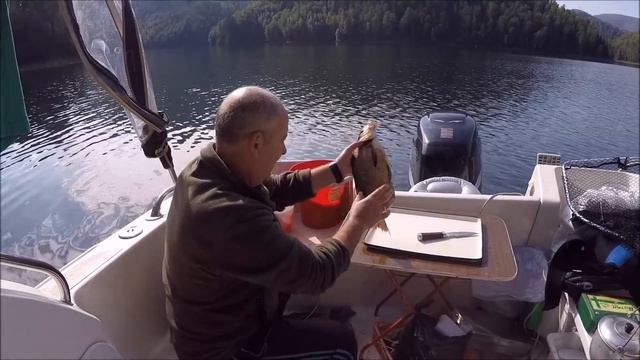 Корвет 750/Speed boat/катер мини-дача смотреть онлайн