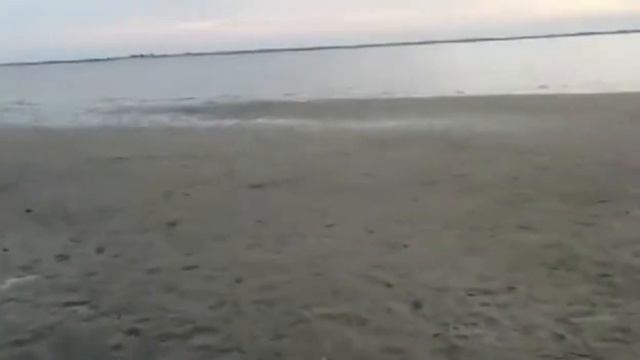 БЕЛОЕ МОРЕ УБЕЖАЛО!!!!!!!!!!! смотреть онлайн