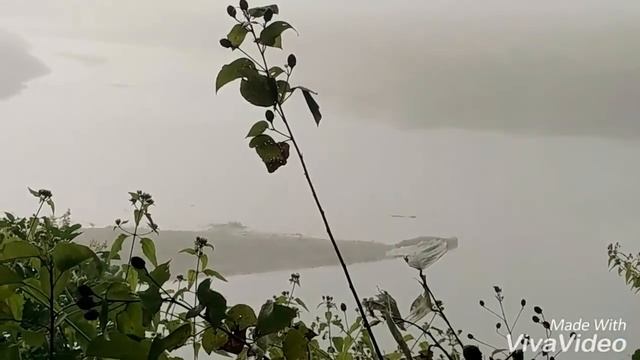 Национальный парк Читван в Непале смотреть онлайн