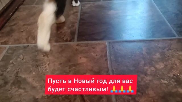 С Новым 2023 годом, мои хорошие! ?Всех крепко обнимаю? смотреть онлайн