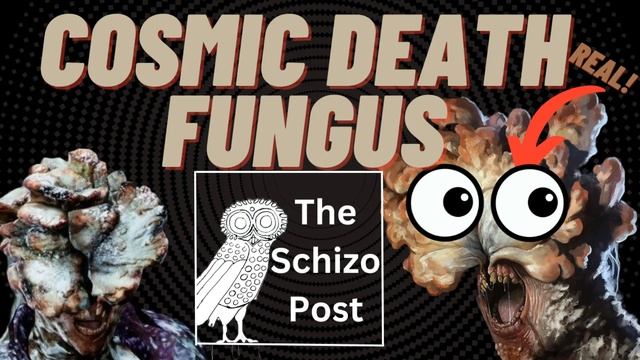 Slaying The Cosmic Death Fungus(Candida) W/ Spencer Weedman | The Schizo Post