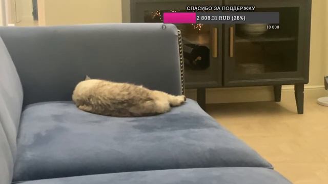 Добрый вечер смотреть онлайн