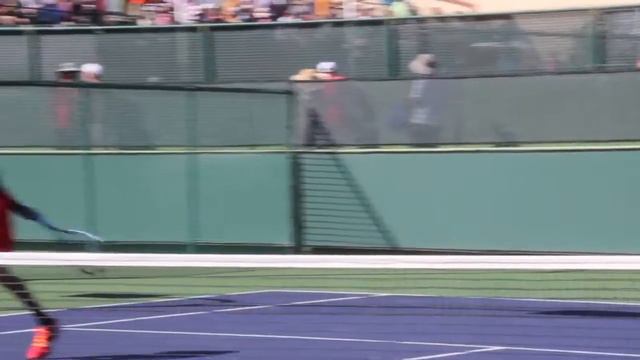 Shamasdin and Brown play some fun dubs смотреть онлайн
