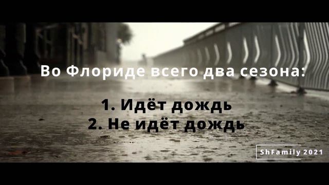 Во Флориду с семьёй - 2021. Особенности штата. Наш отдых. Лучше один раз увидеть... смотреть онлайн