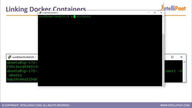 How to Link Docker Containers | Linking Docker Containers | Docker Container Linking Tutorial смотреть онлайн