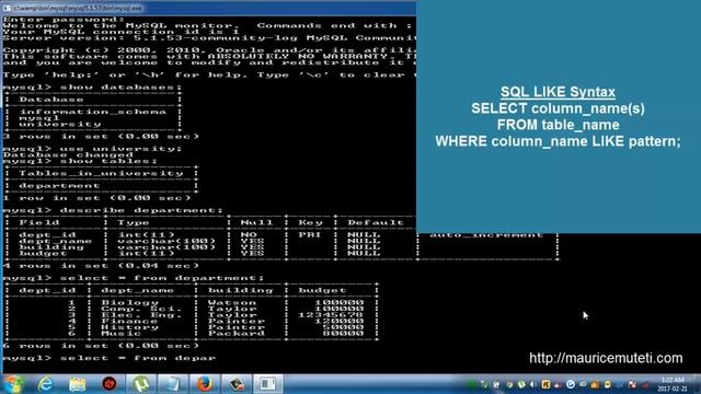 Structured Query Language Tutorial SQL Part 16 LIKE Operator Command Prompt Console смотреть онлайн