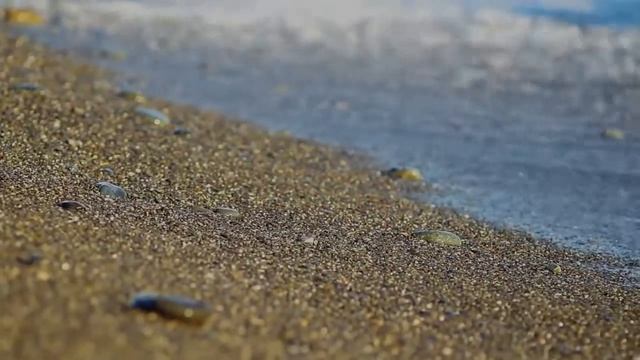 А там, где моря тихий шум... смотреть онлайн