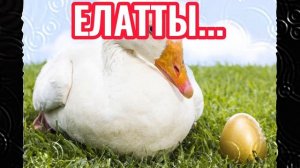 ЕЛАТТЫ... НӘҖИБӘ САФИНА "ТҮГӘРӘК ТАЛ ТУГАЕ" МАТУР ХИКӘЯ! АУДИОХИКӘЯ РАССКАЗЫ НА ТАТАРСКОМ ЯЗЫКЕ