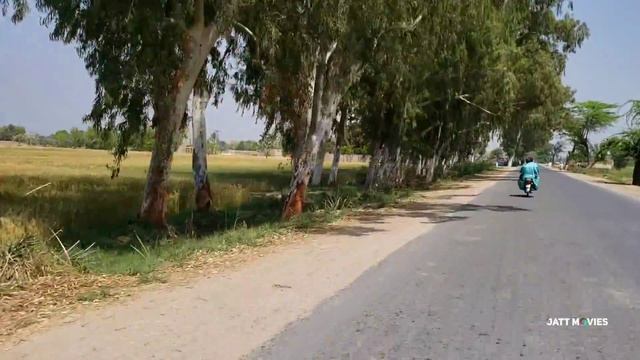Punjab Village BEAUTIFUL Road Travel | Rural Pakistan смотреть онлайн