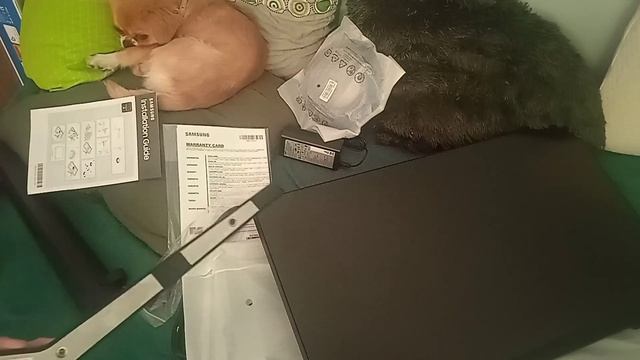 najlepszy monitor do 700 zł??! Monitor Samsung Odyssey G3 S27AG300NR Komputer marzeń смотреть онлайн