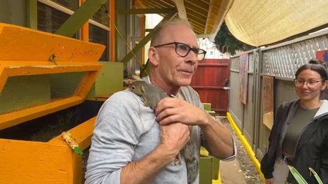 The Tortoise Guy is going live! смотреть онлайн