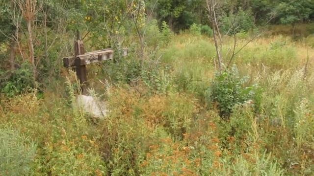 Станция Кудрявка, остановочный пункт 473 км Дон.ж/д смотреть онлайн