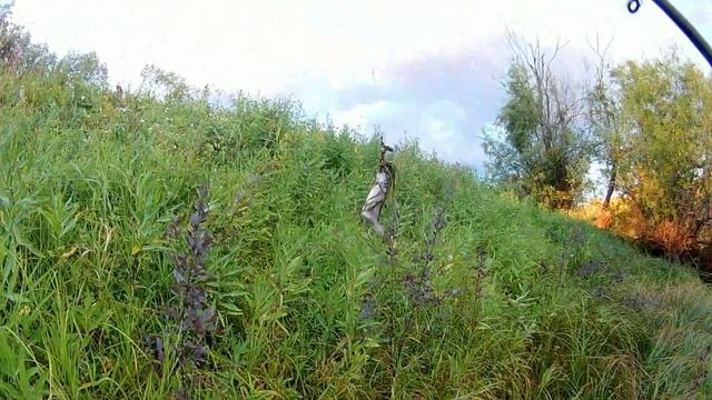 Рыбалка. Щука-травянка на спиннинг. смотреть онлайн